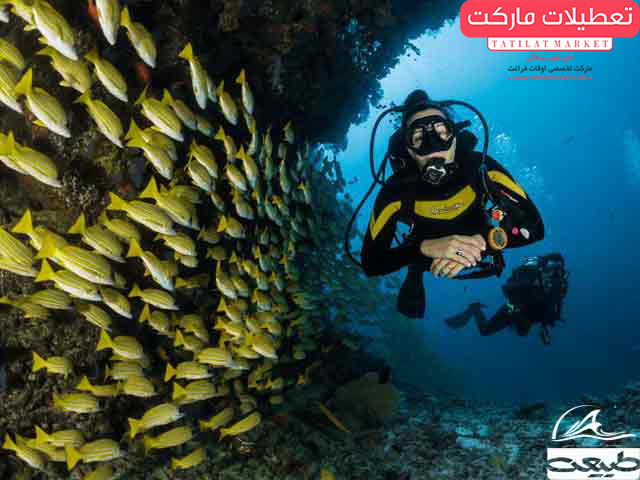 از تفریحات خاص شما در تهران، غواصی اسکوبا