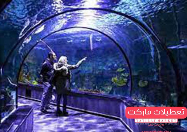 آکواریوم-اصفهان