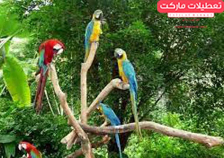 باغ-پرندگان-اصفهان