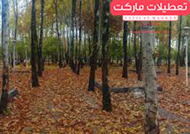 پارک-جنگلی-ناژوان