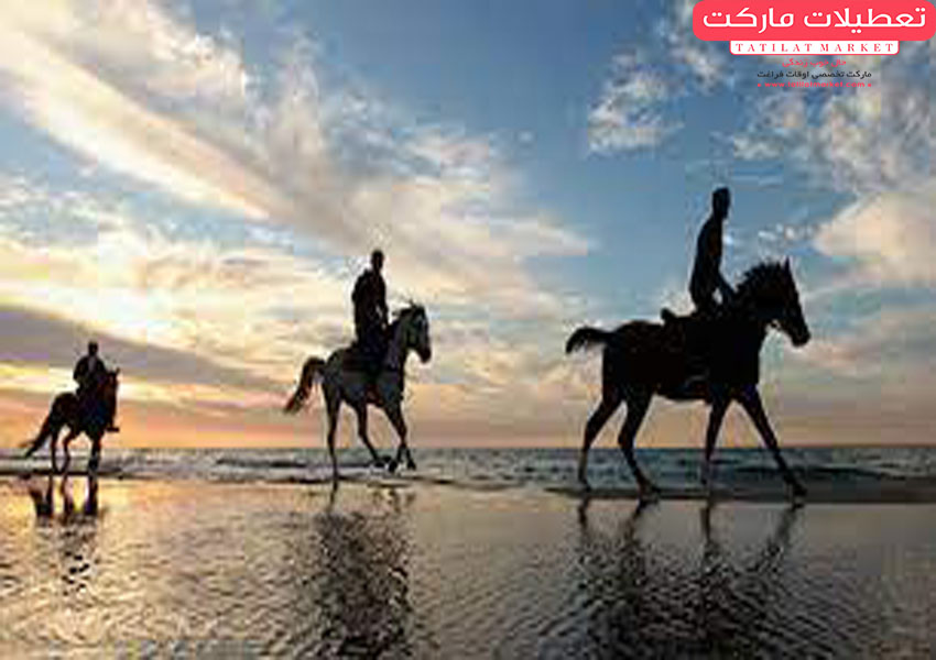 تور سوارکاری کیش را از دست ندهید