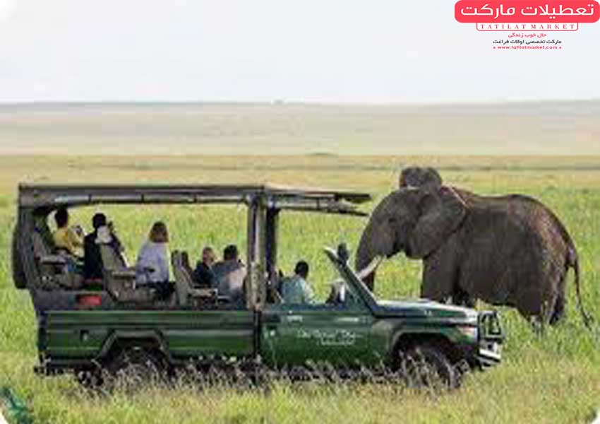 تفریحات مهیج در سافاری کیش