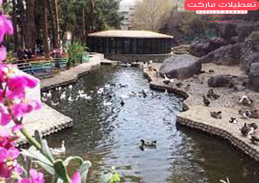 پارک ساعی محلی برای گردش در تهران