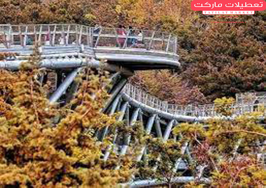 پارک طالقانی تهران کجاست؟