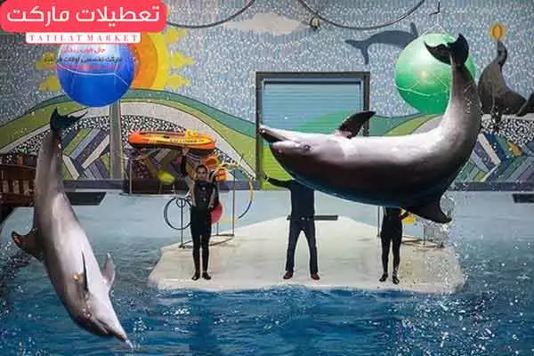 سیرک-برج-میلاد