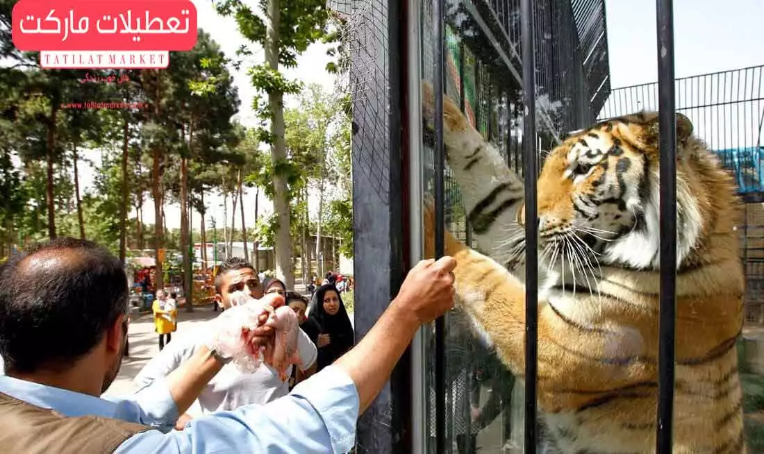 باغ وحش پارک ارم تهران