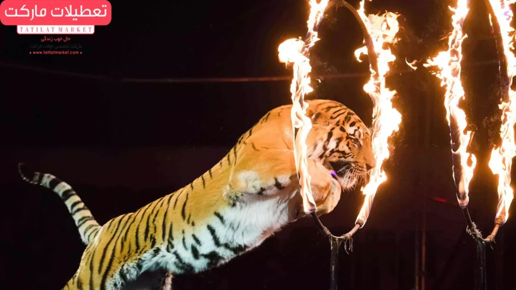 سیرک پارک ارم تهران