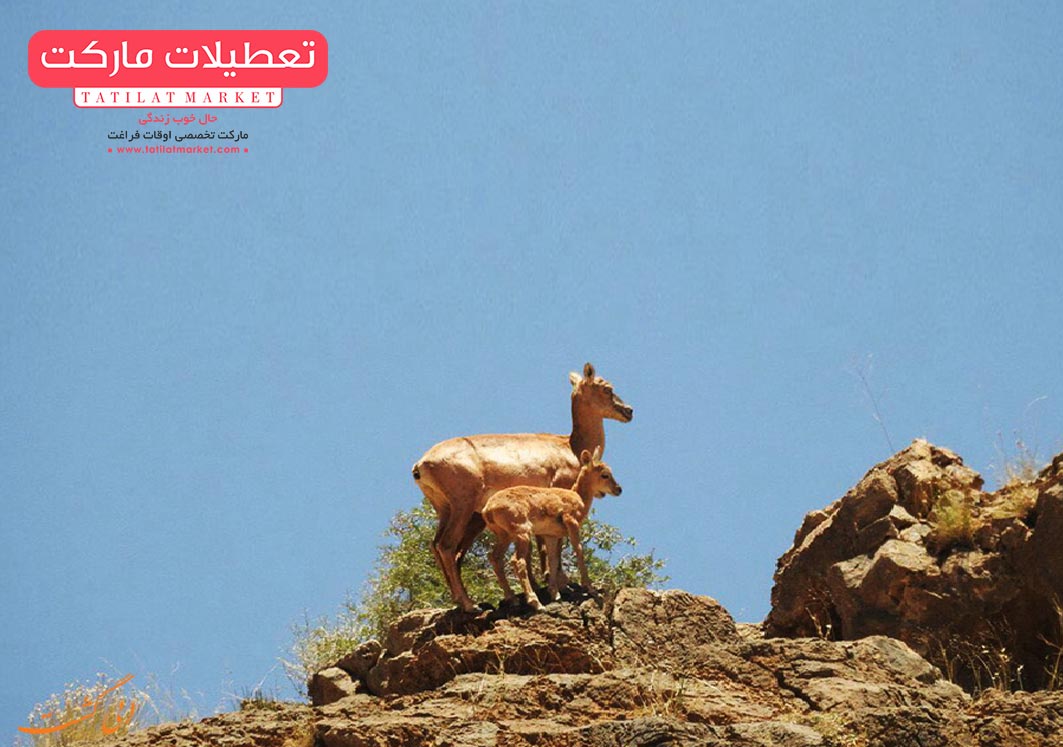 منطقه حفاظت شده هفتاد قله