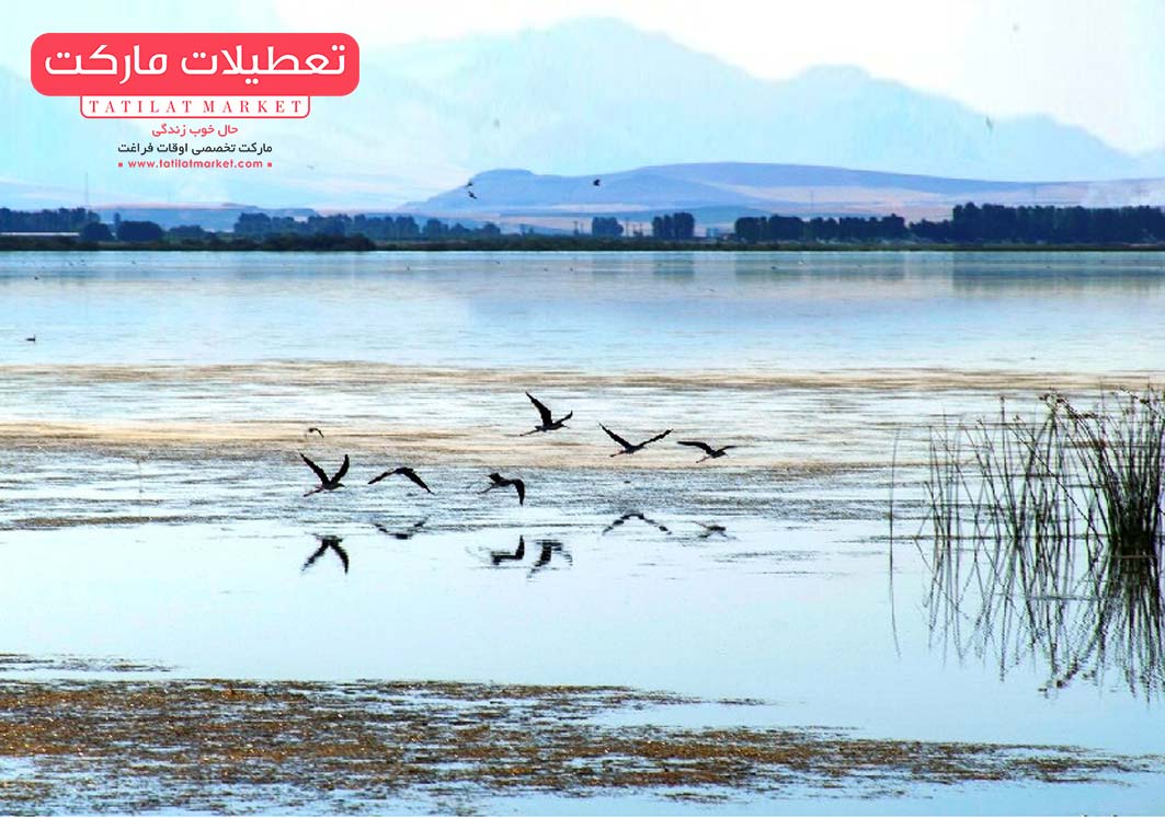 تالاب میقان