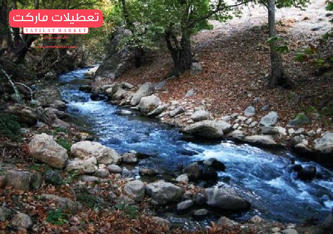پارک جنگلی پروز جزو سبزترین جاذبه‌ های گردشگری استان چهارمحال و بختیاری است