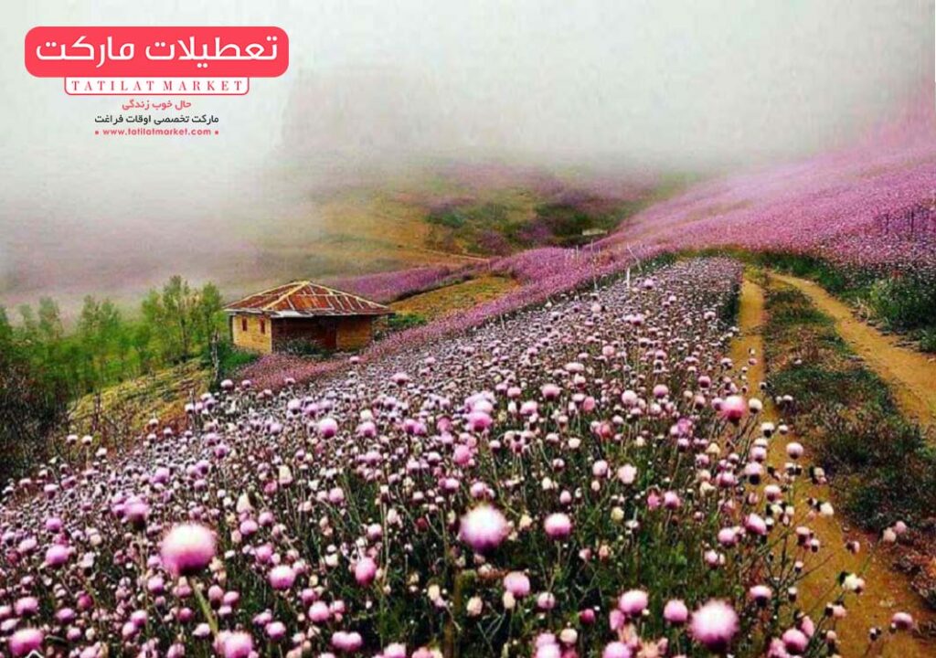 سفر به اسالم تالش یکی از بهترین جاهای دیدنی گیلان