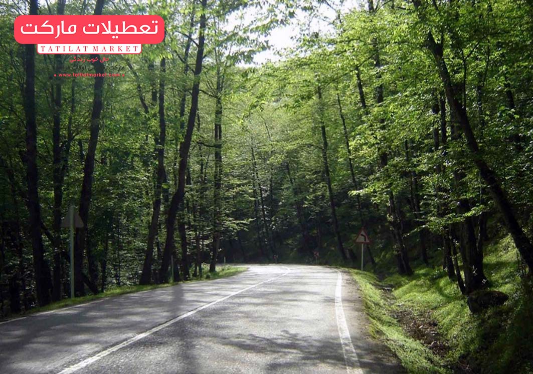 کوهی خیل کجاست؟