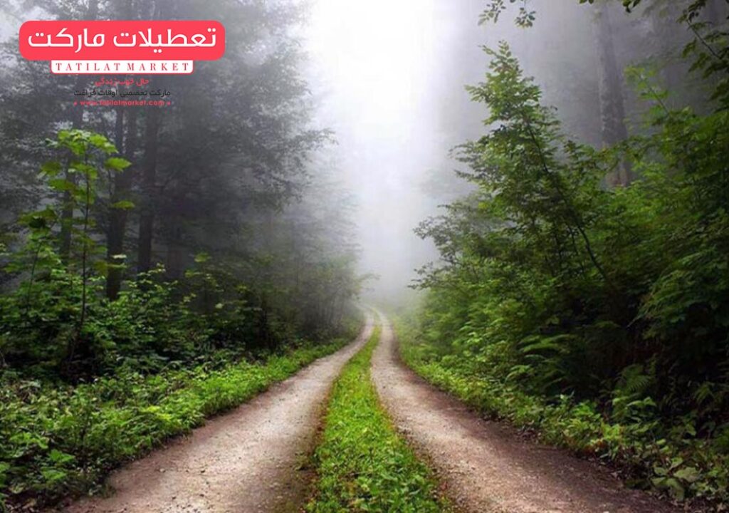 جواهرده مازندران واقعا زمانی پر از جواهر بوده است؟