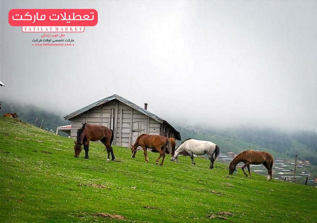معرفی دشت النزه یکی از زیباترین جاذبه های گردشگری استان گیلان