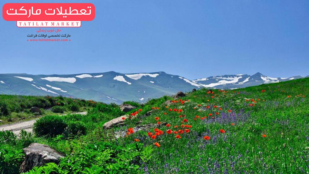 معرفی جاذبه گردشگری استان اردبیل که باید دید