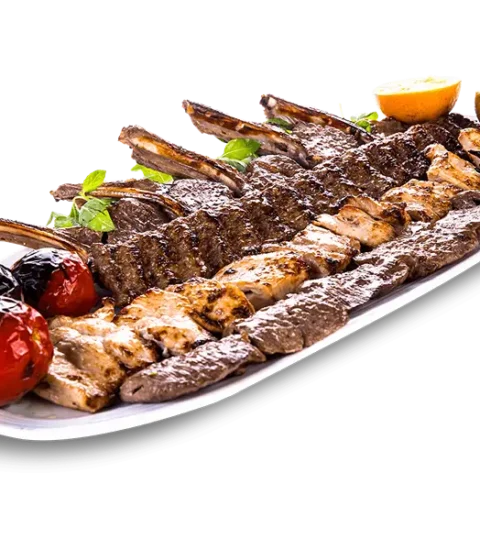 مجموعهی شاندیز گالریا